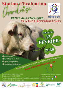 VENTE 2026