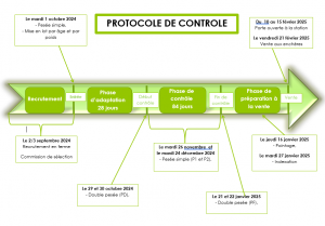 Frise protocole 2024