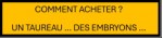 COMMENT ACHETER EMBRYONS_TAUREAUX