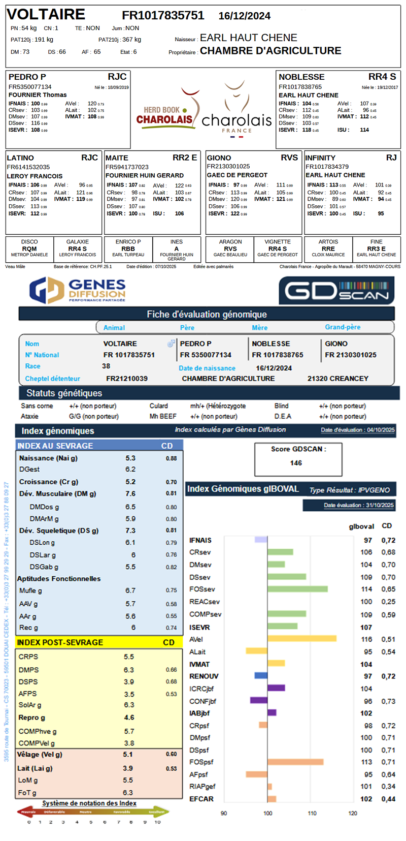 genealogie taureau charolais VOLTAIRE