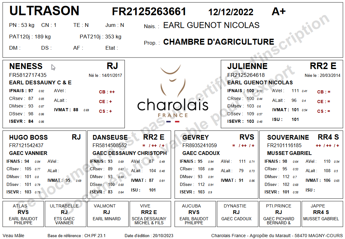 genealogie taureau charolais ULTRASON