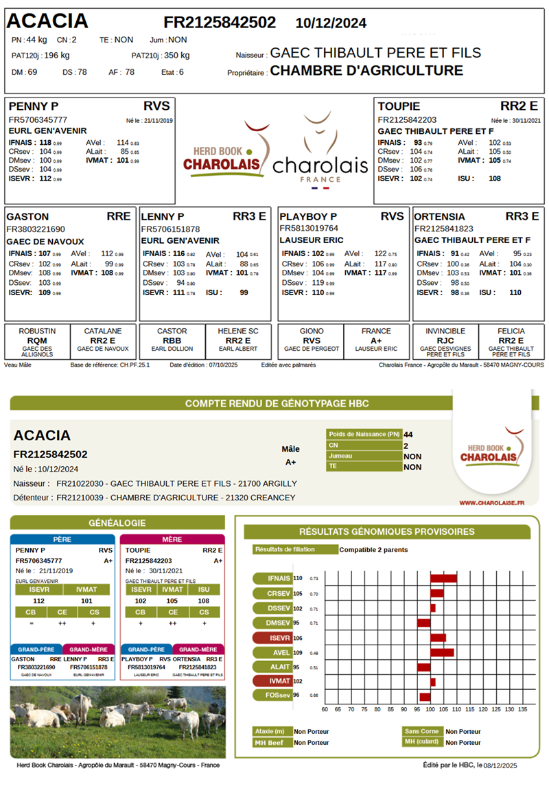 genealogie taureau charolais ACACIA