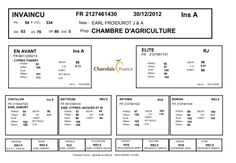 genealogie taureau charolais INVAINCU
