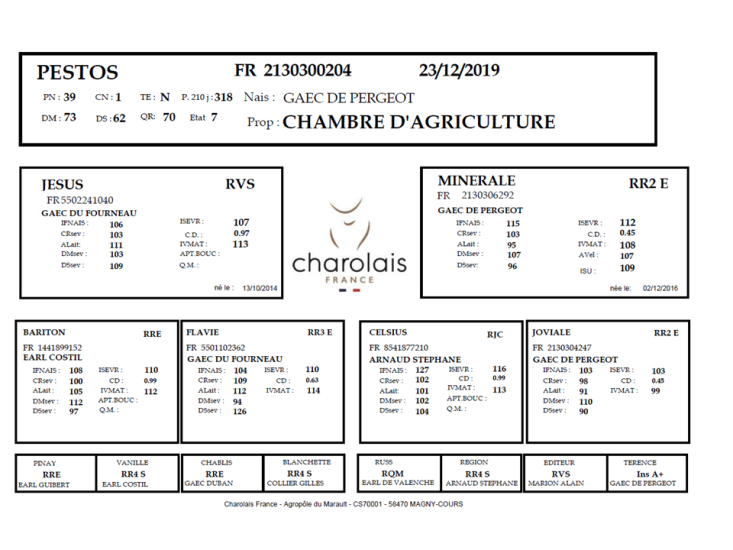 genealogie taureau charolais PESTOS
