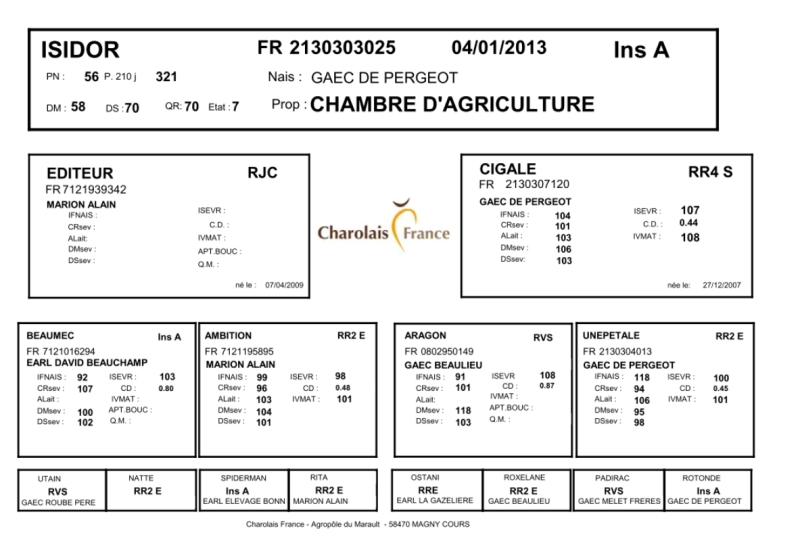 genealogie taureau charolais ISIDOR