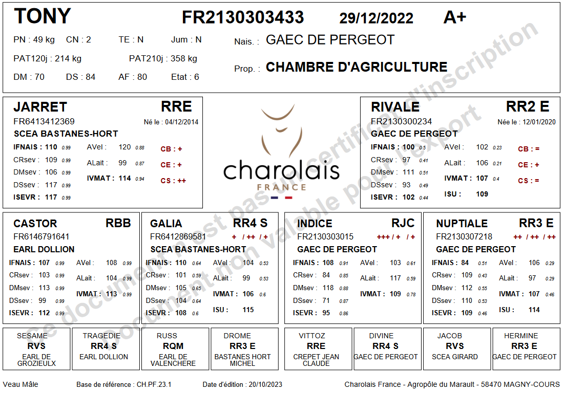 genealogie taureau charolais TONY