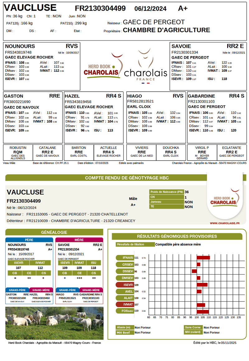 genealogie taureau charolais VAUCLUSE