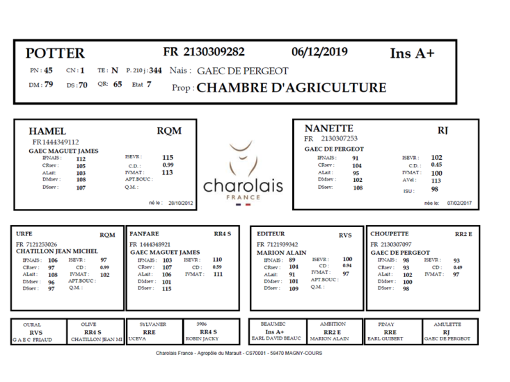 genealogie taureau charolais POTTER