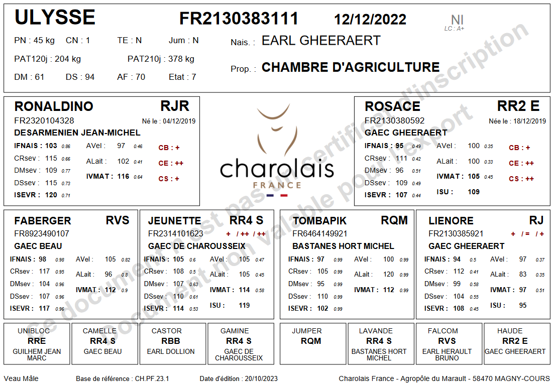 genealogie taureau charolais ULYSSE