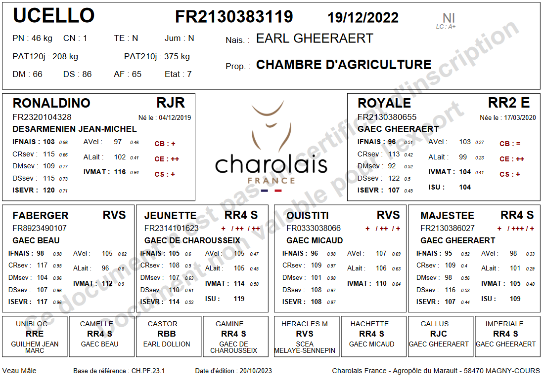 genealogie taureau charolais UCELLO