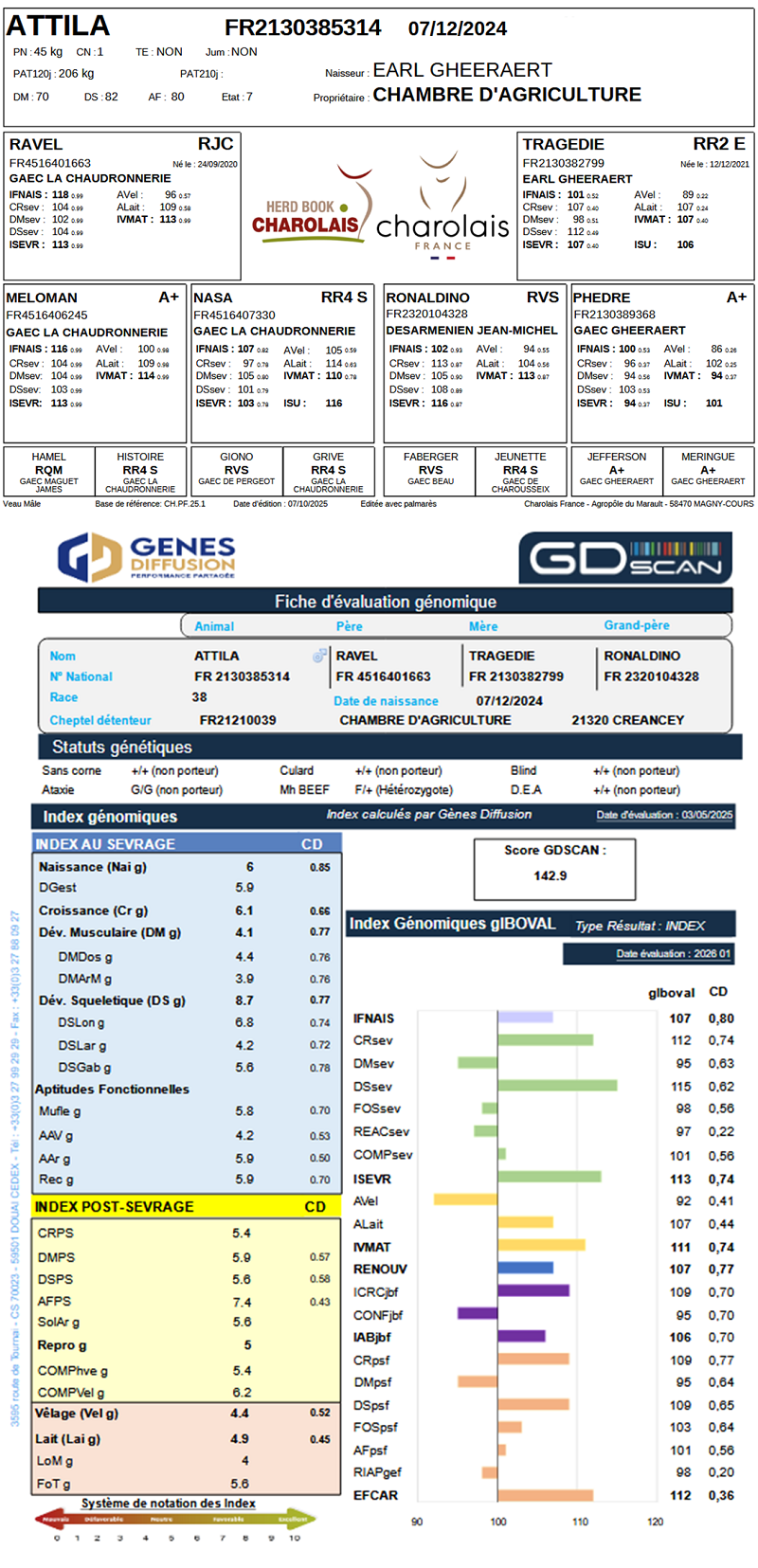 genealogie taureau charolais ATTILA