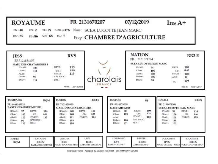 genealogie taureau charolais ROYAUME