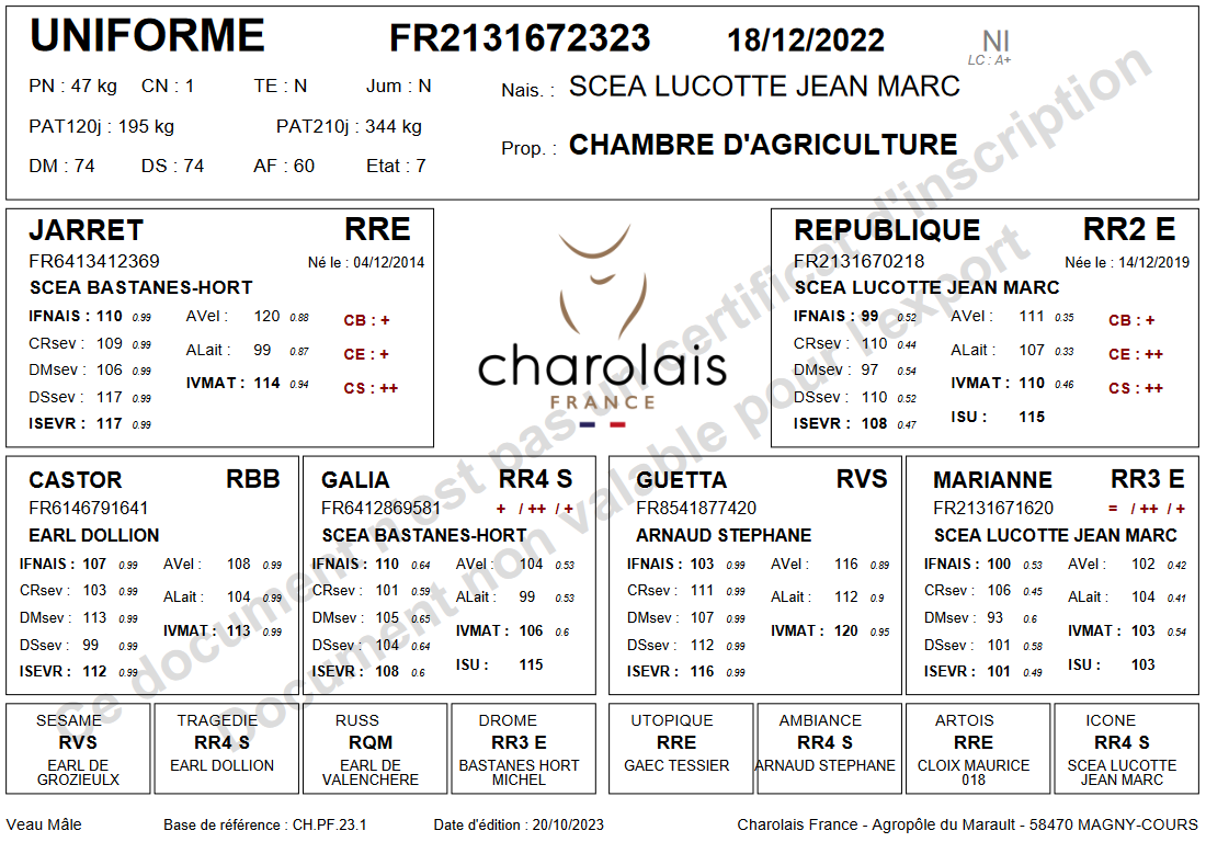 genealogie taureau charolais UNIFORME