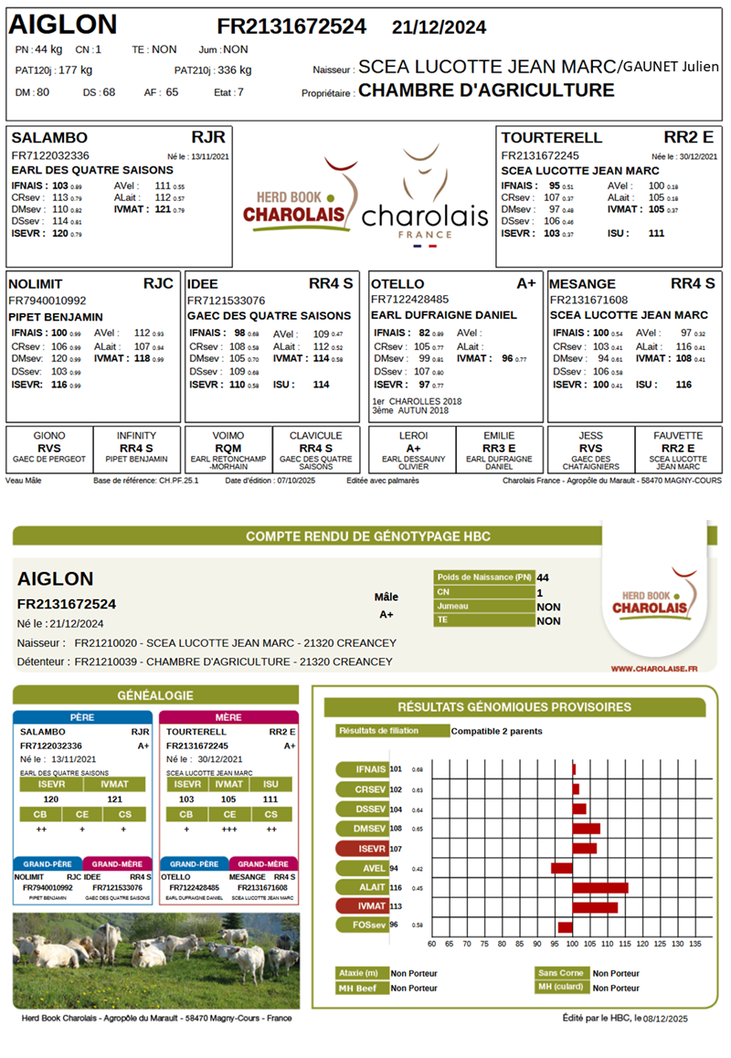 genealogie taureau charolais AIGLON