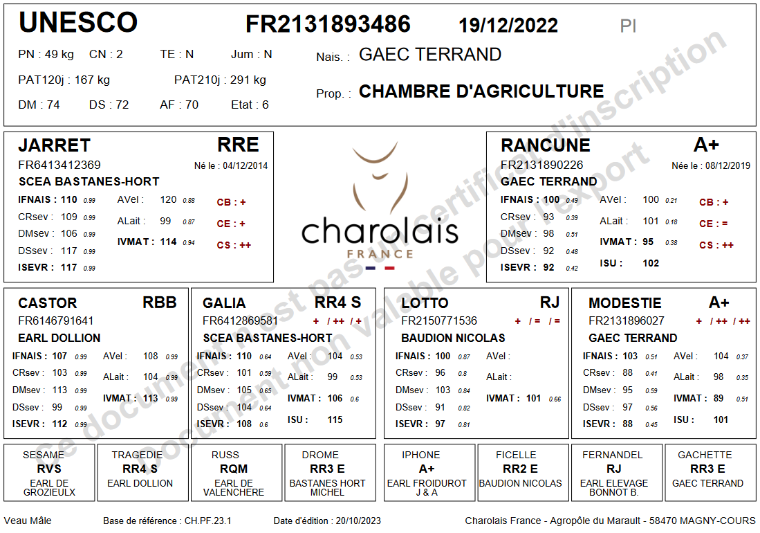genealogie taureau charolais UNESCO