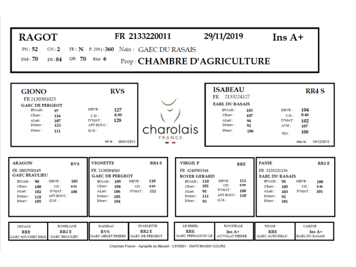 genealogie taureau charolais RAGOT