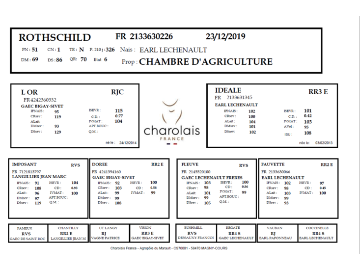 genealogie taureau charolais ROTHSCHILD