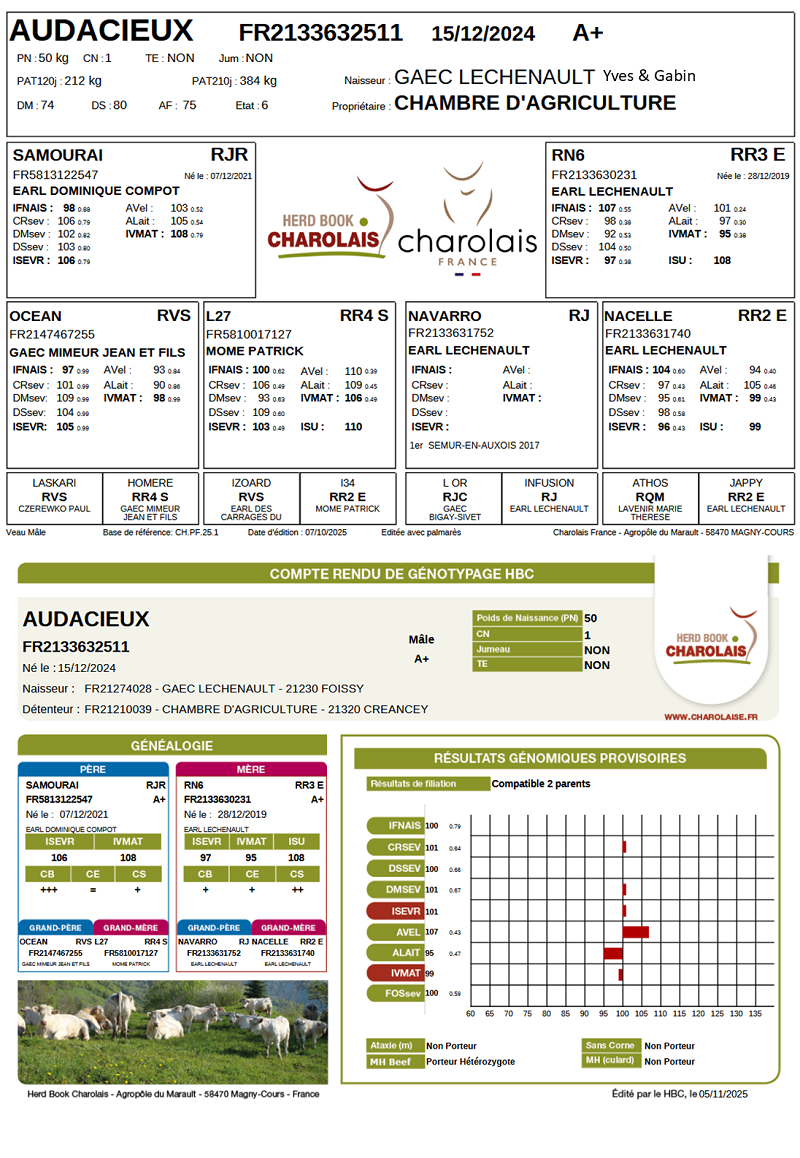 genealogie taureau charolais AUDACIEUX