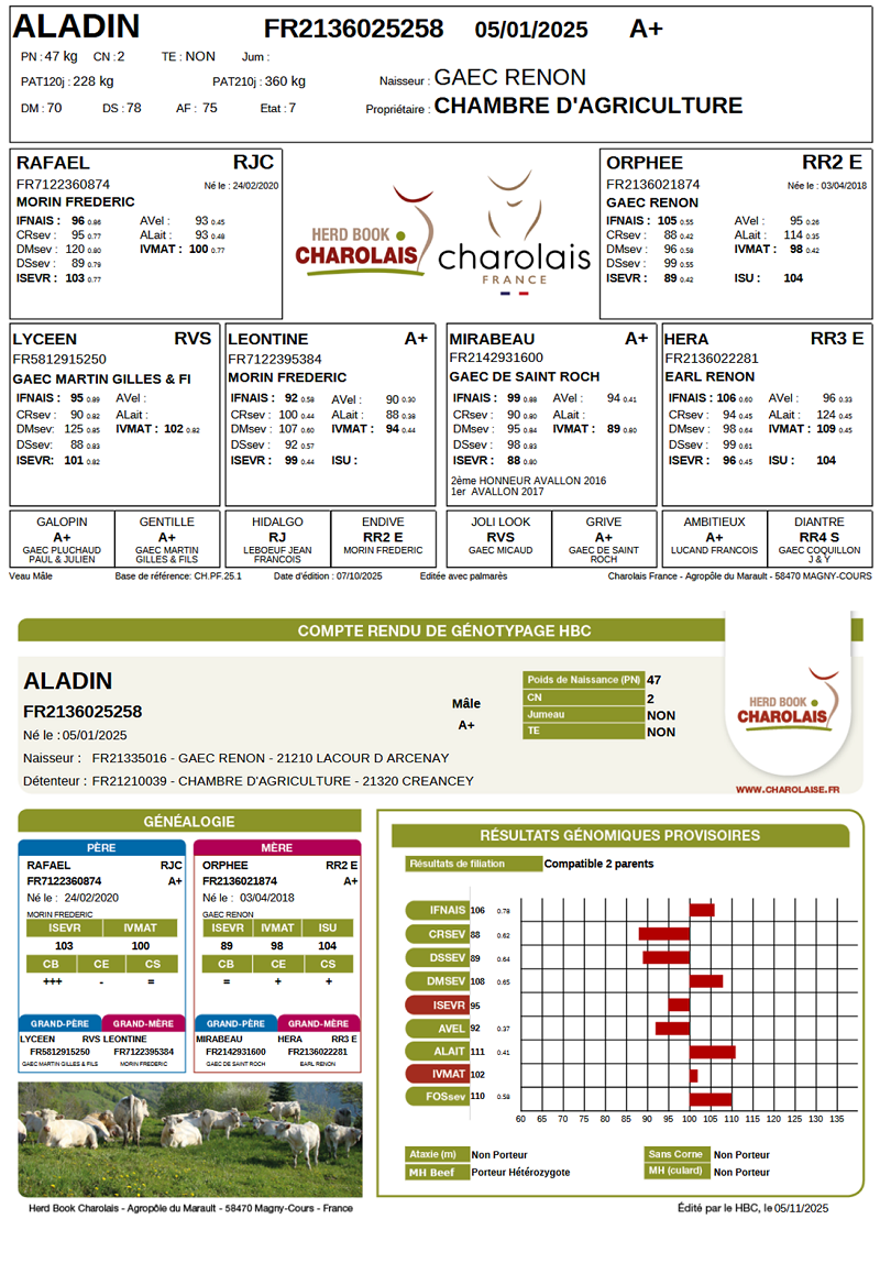 genealogie taureau charolais ALADIN
