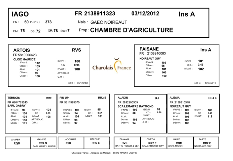 genealogie taureau charolais IAGO