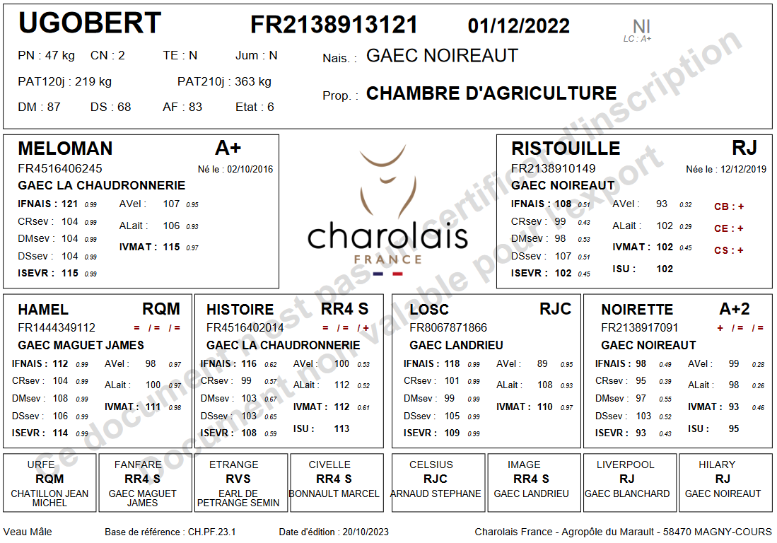 genealogie taureau charolais UGOBERT