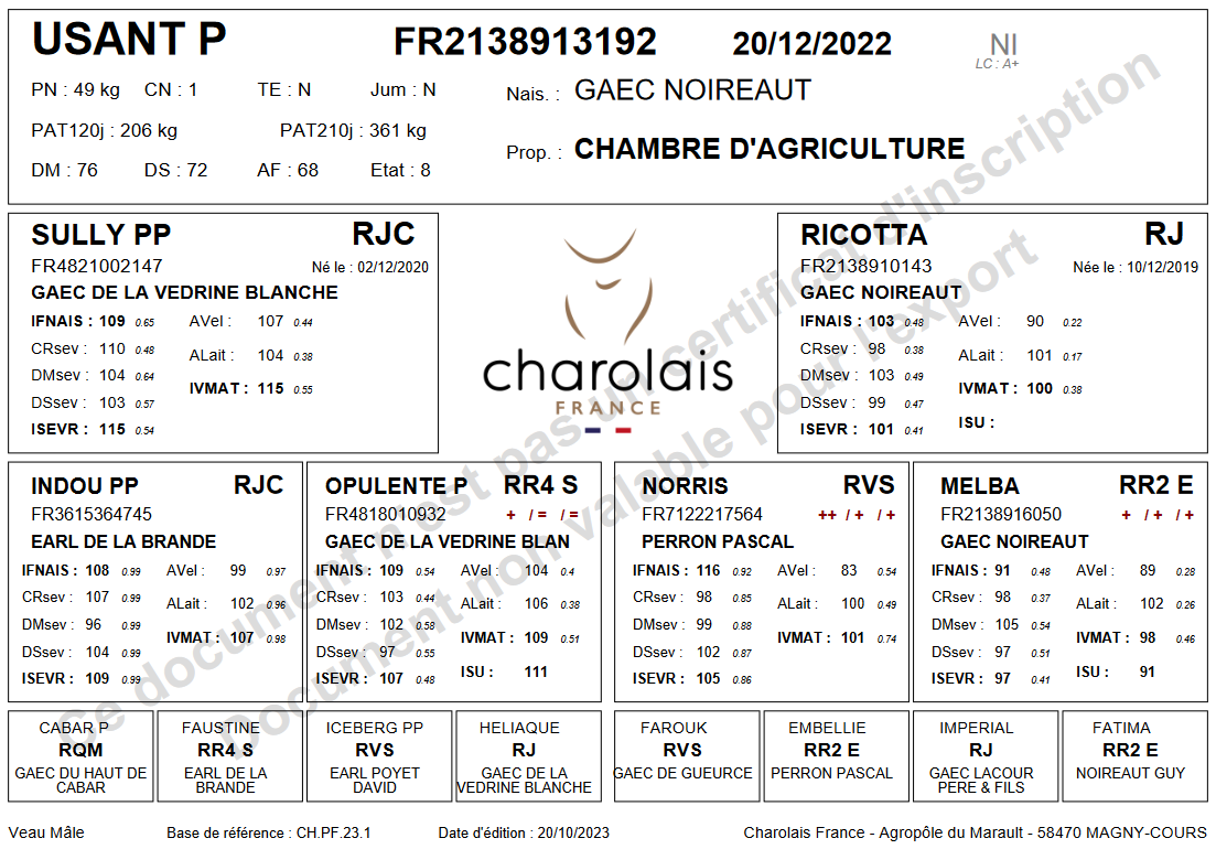 genealogie taureau charolais USANT P