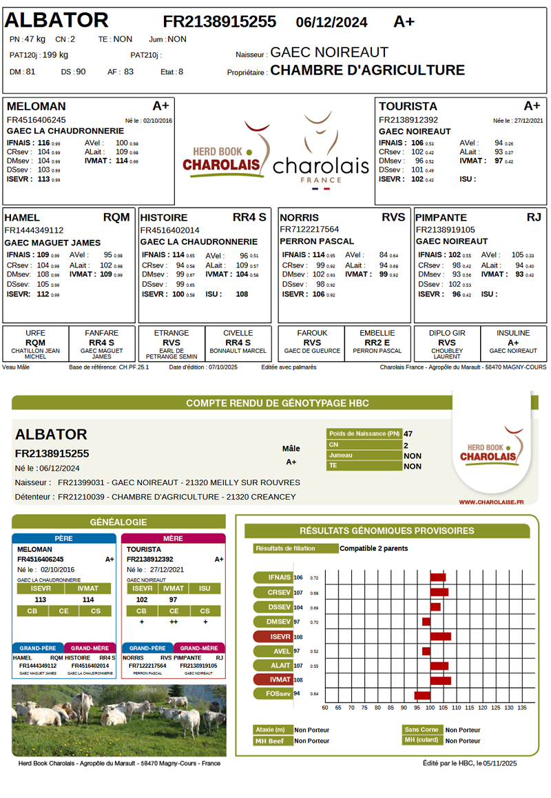 genealogie taureau charolais ALBATOR