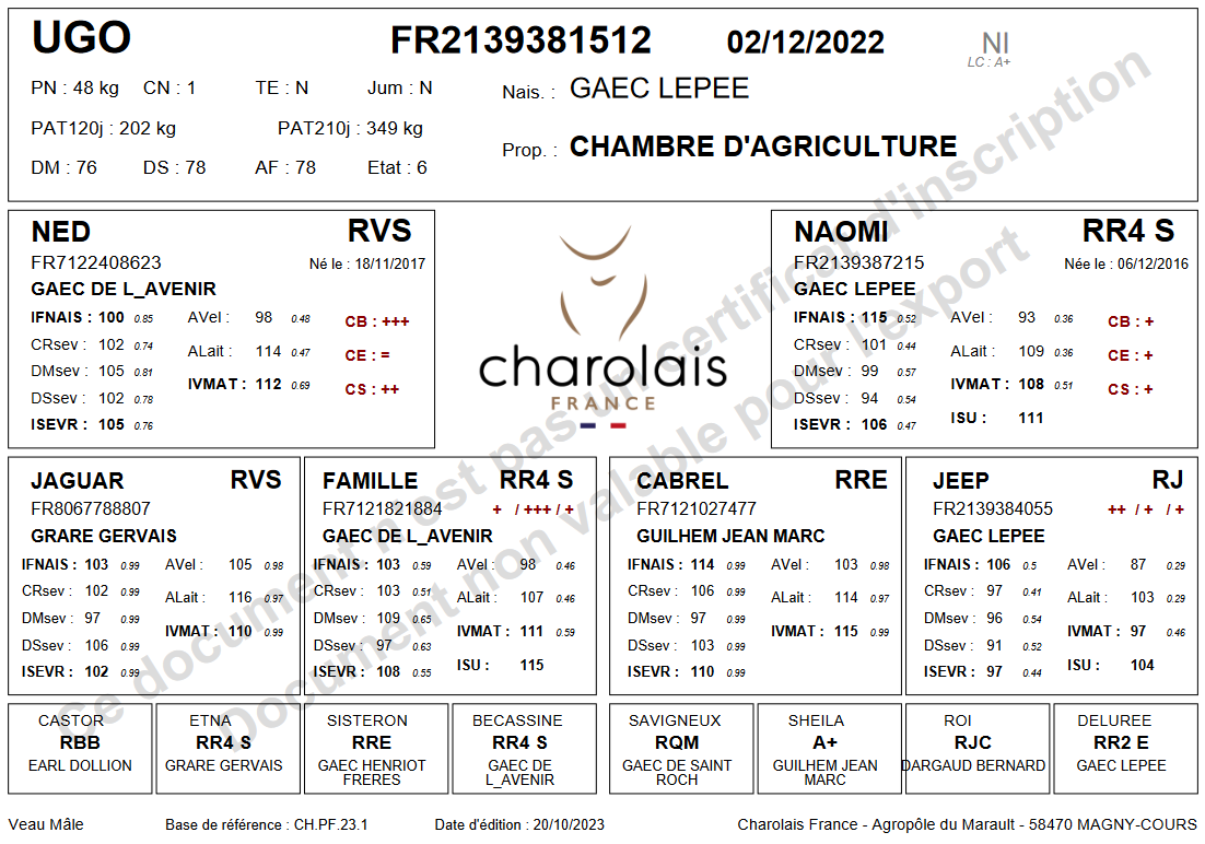 genealogie taureau charolais UGO