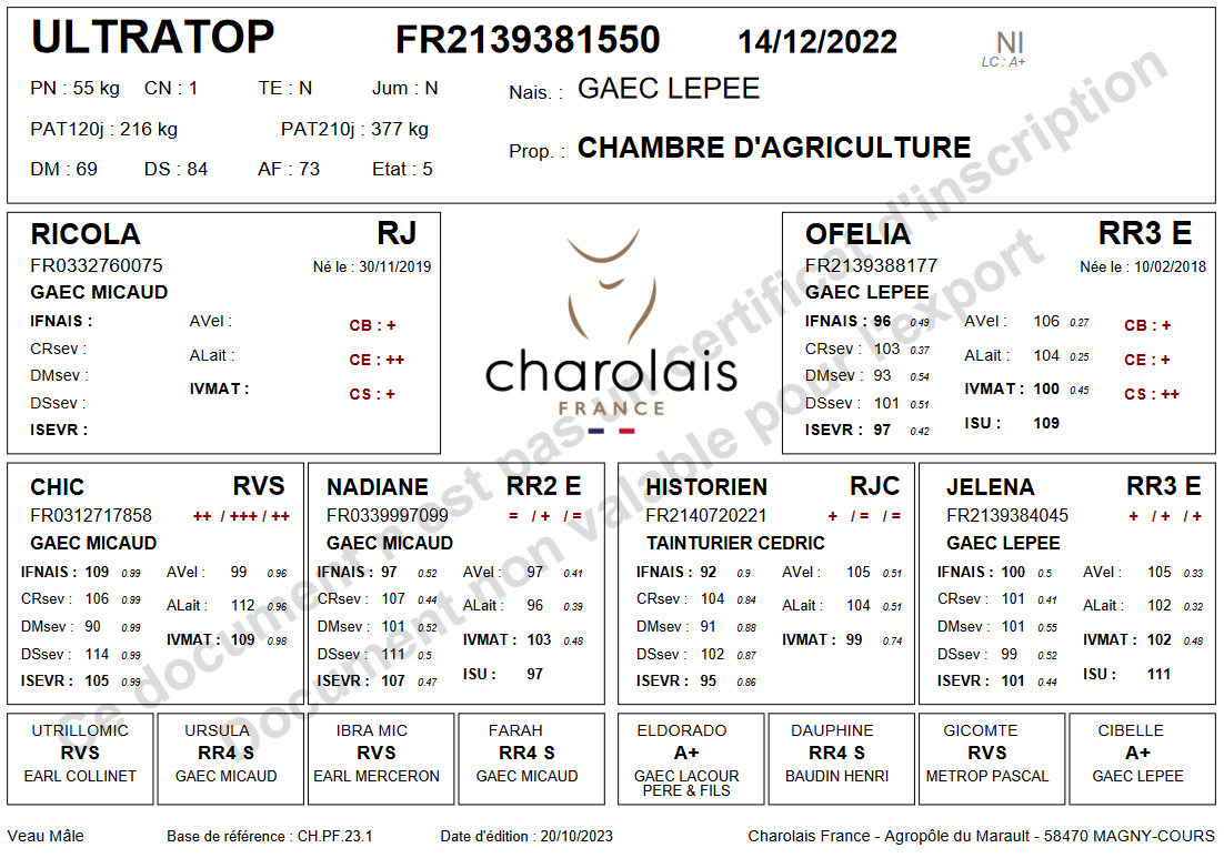 genealogie taureau charolais ULTRATOP