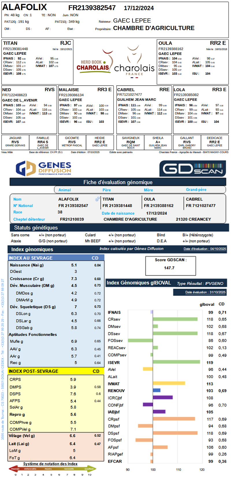 genealogie taureau charolais ALAFOLIX