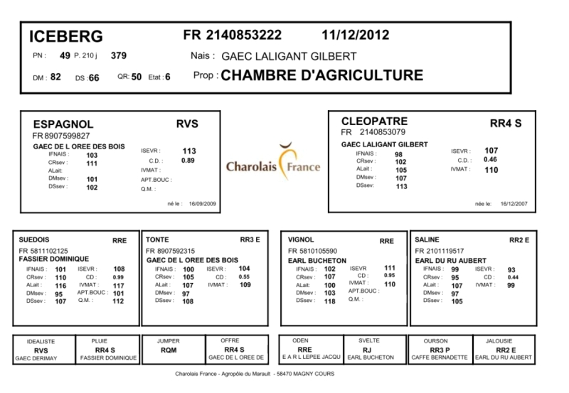 genealogie taureau charolais ICEBERG