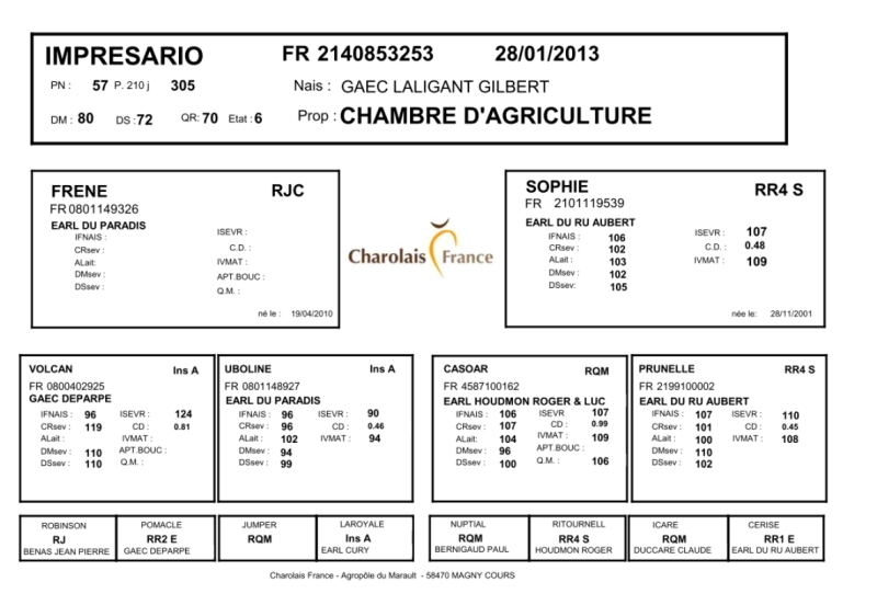 genealogie taureau charolais IMPRESARIO