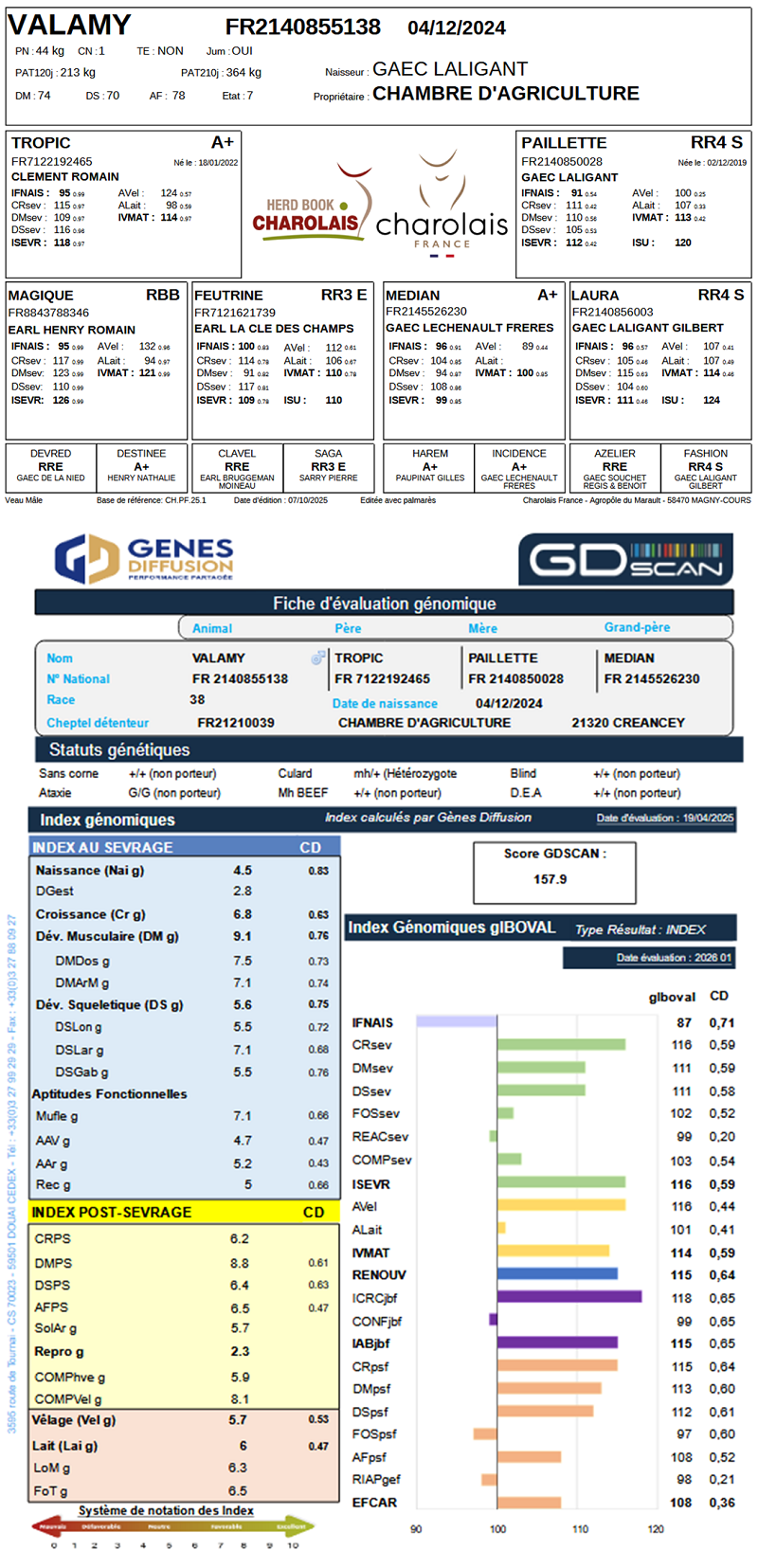 genealogie taureau charolais VALAMY