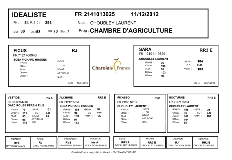 genealogie taureau charolais IDEALISTE