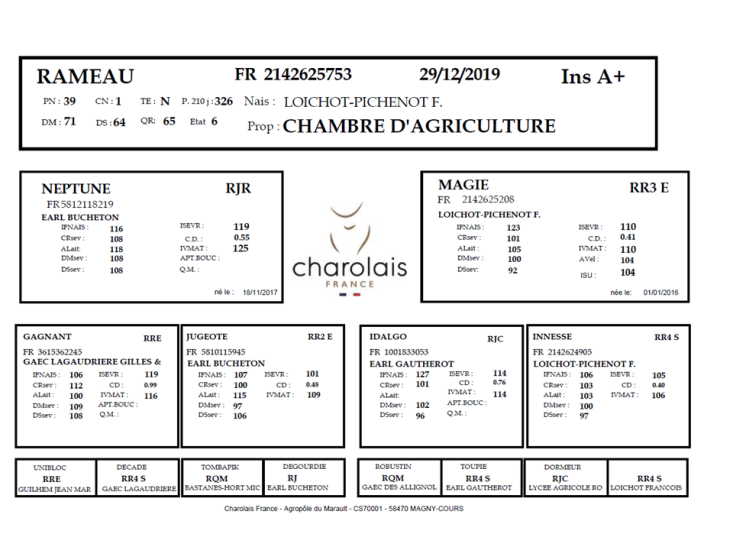 genealogie taureau charolais RAMEAU