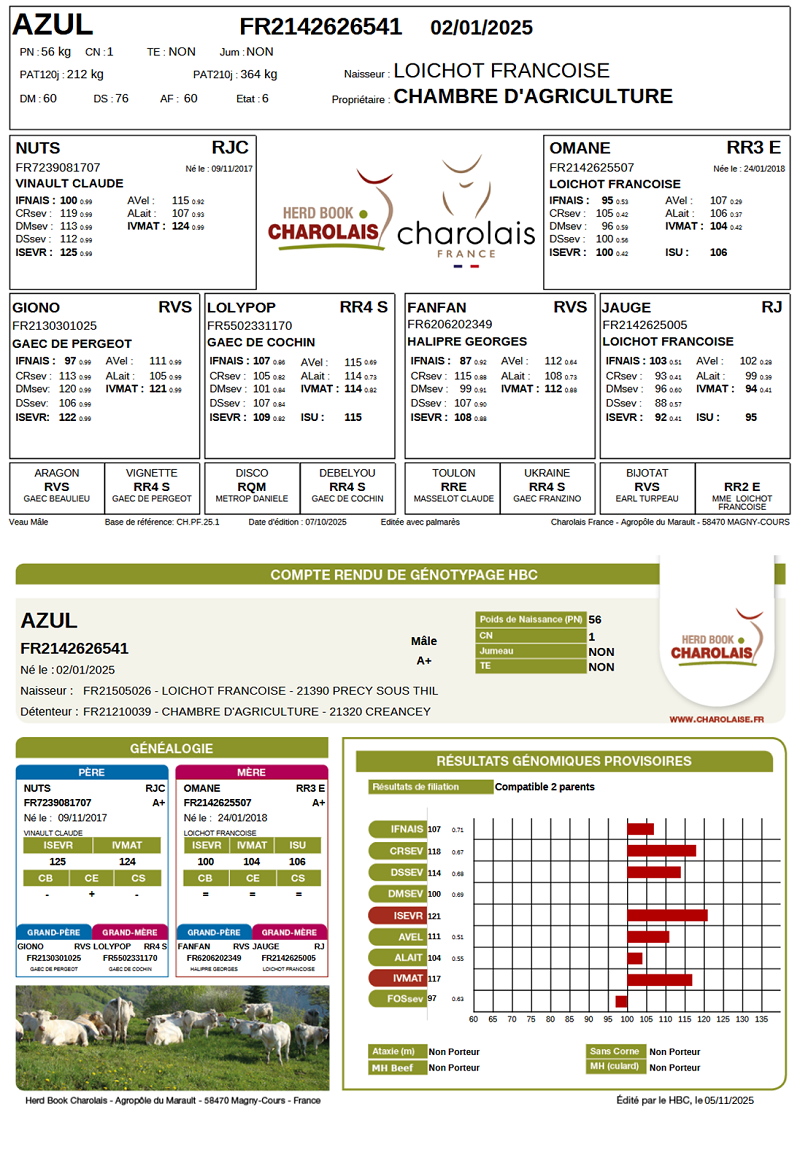genealogie taureau charolais AZUL