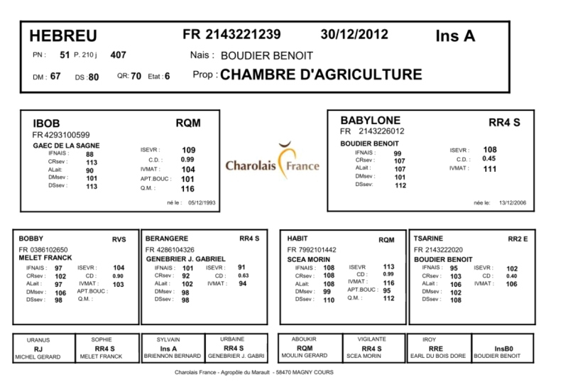 genealogie taureau charolais HEBREU