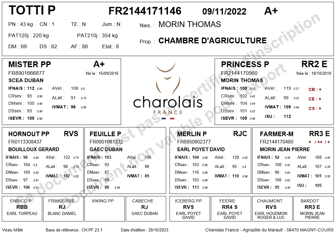genealogie taureau charolais TOTTI P