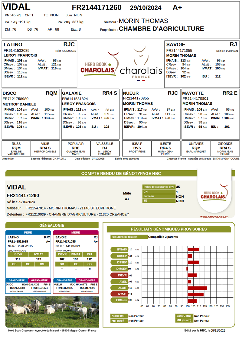 genealogie taureau charolais VIDAL