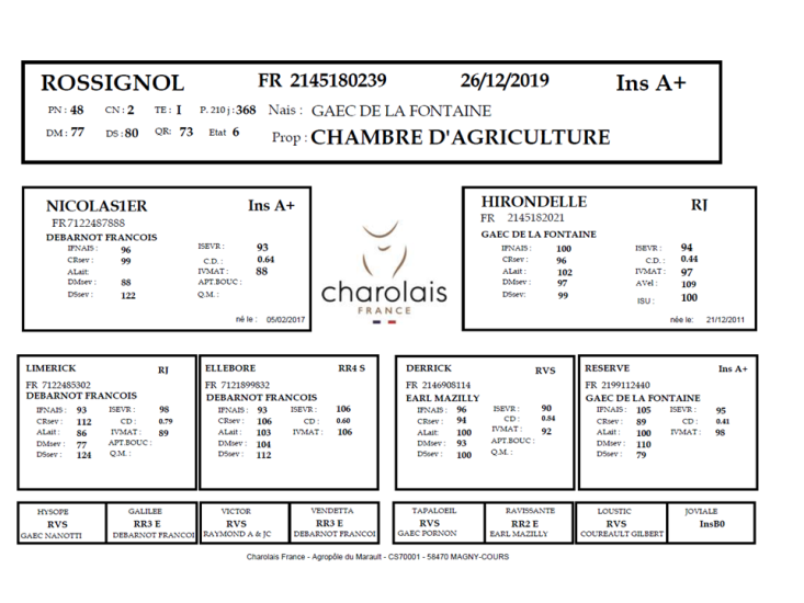 genealogie taureau charolais ROSSIGNOL