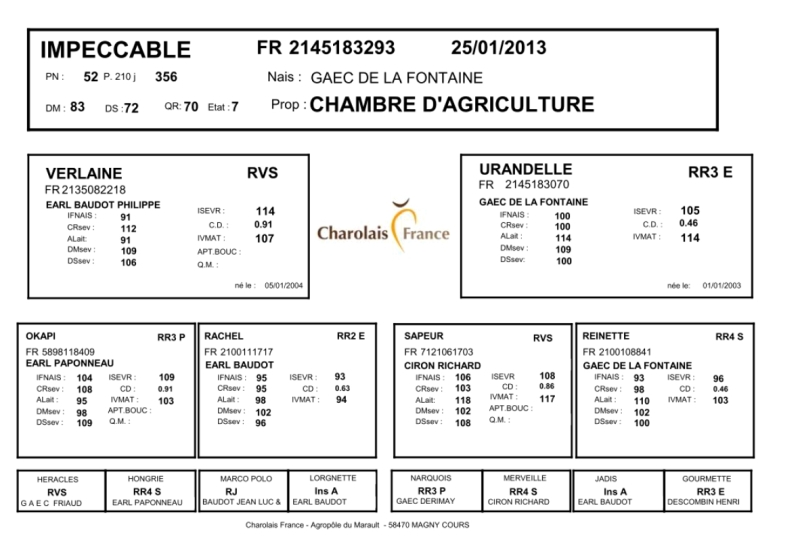 genealogie taureau charolais IMPECCABLE