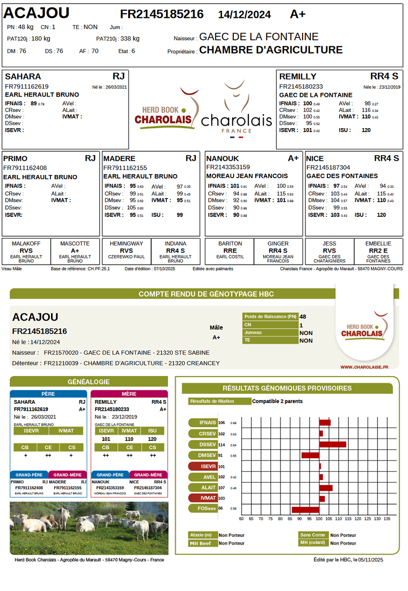 genealogie taureau charolais ACAJOU