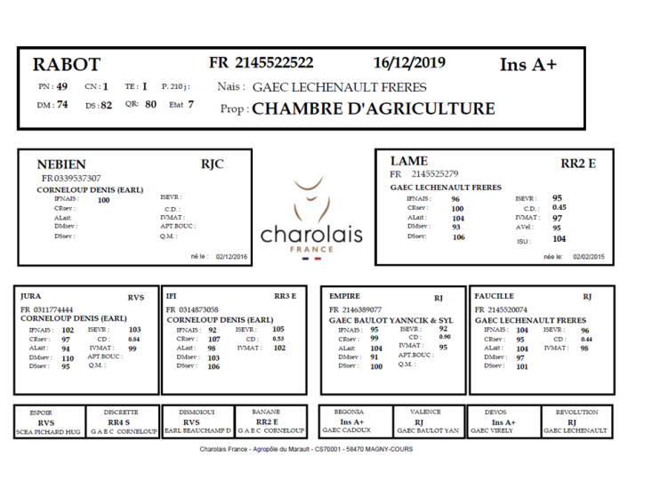 genealogie taureau charolais RABOT