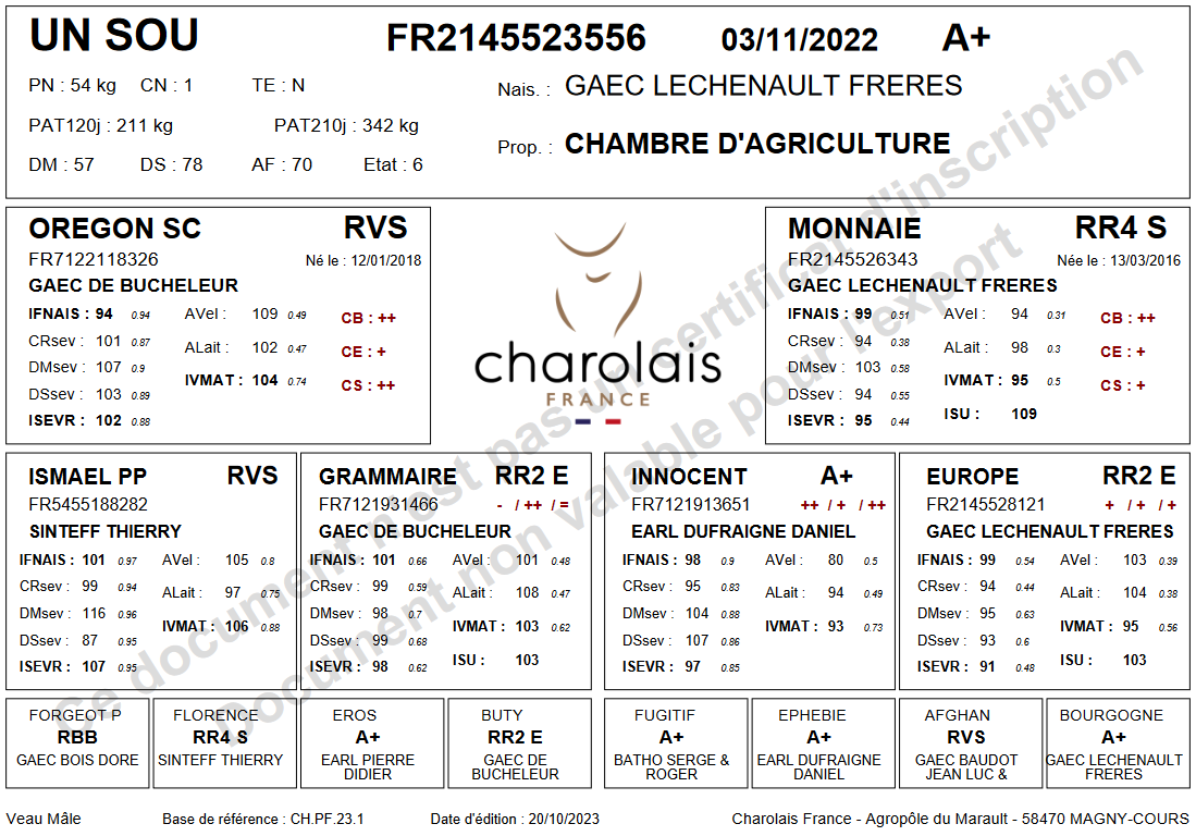 genealogie taureau charolais UN SOU