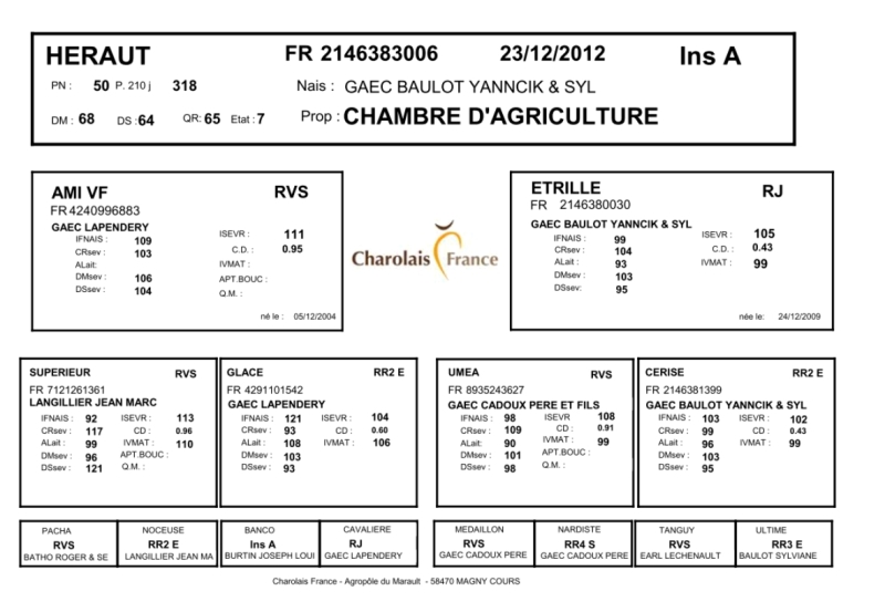 genealogie taureau charolais HERAUT