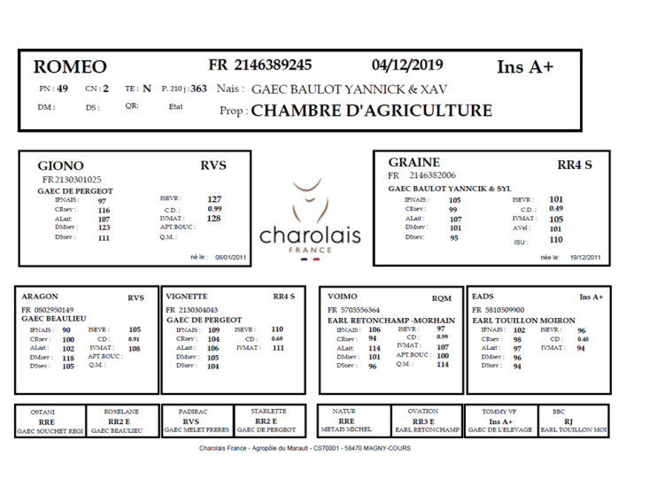 genealogie taureau charolais ROMEO
