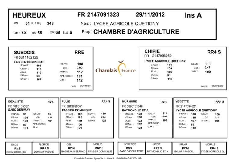 genealogie taureau charolais HEUREUX