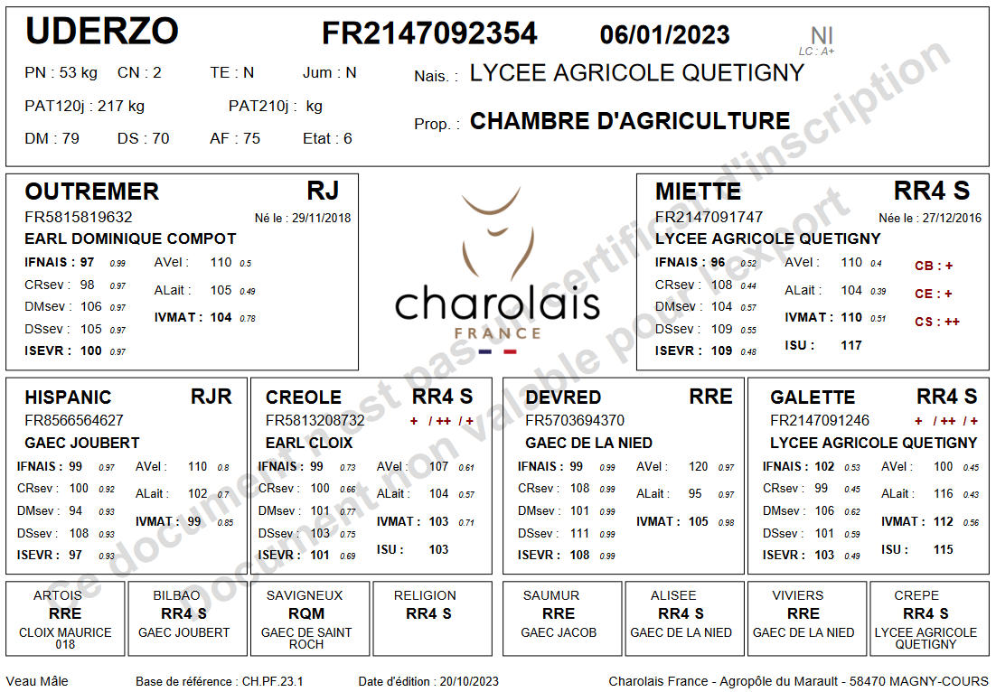 genealogie taureau charolais UDERZO