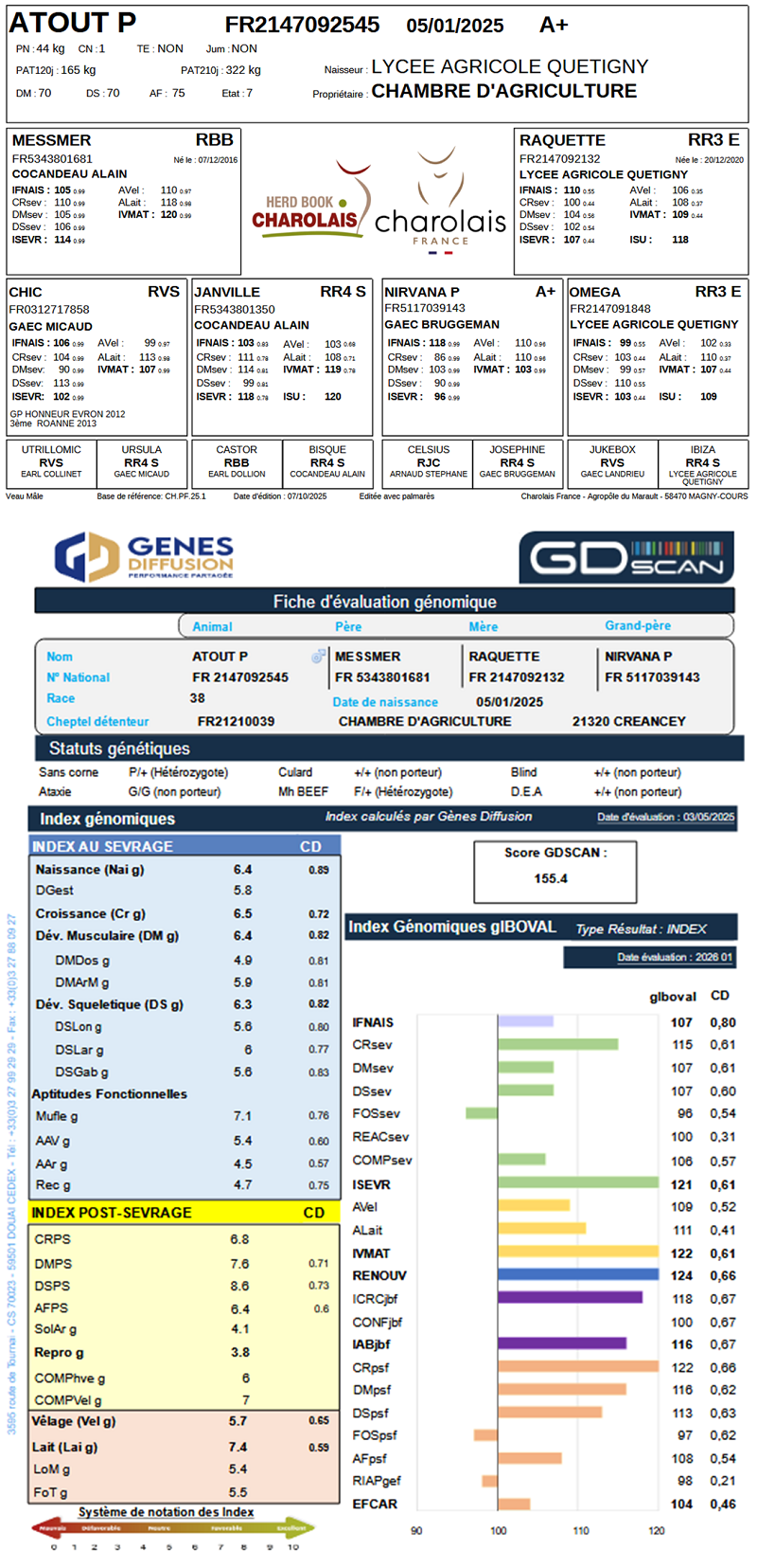 genealogie taureau charolais ATOUT P