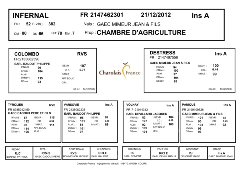 genealogie taureau charolais INFERNAL